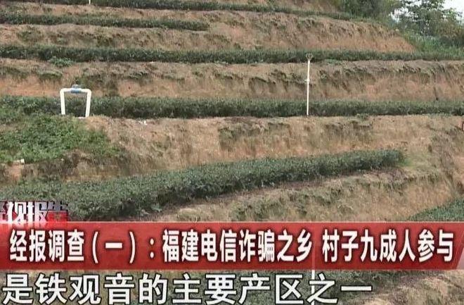 球速体育平台【江湖】从驻马店、到安溪“十亿群众九亿骗另有一亿在熬炼”(图7)