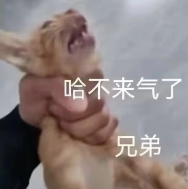 welcome球速体育给日自己供给不打码影片的大罪人牢狱都被官方礼品塞满了…(图11)